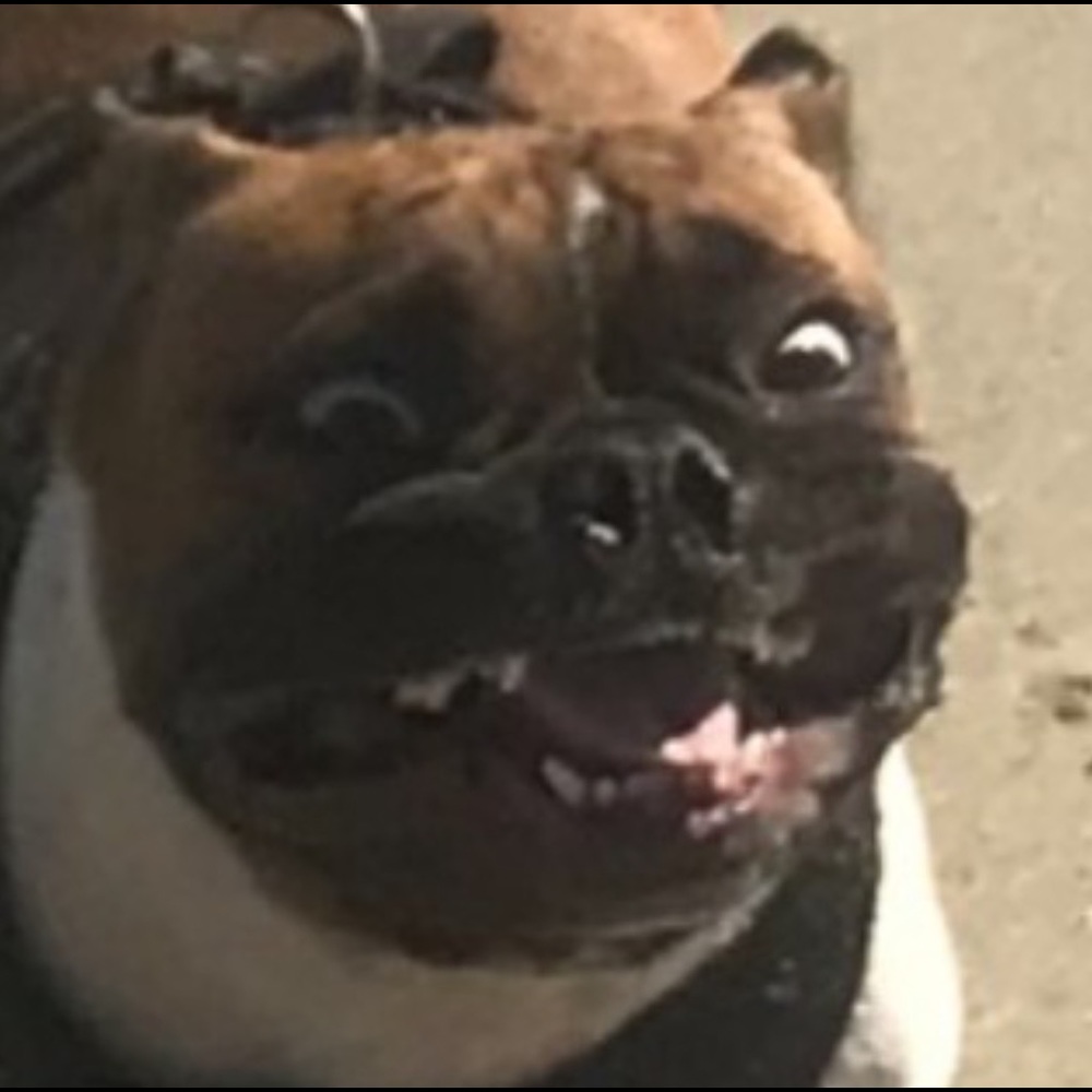 Meet your Posher, Lynn